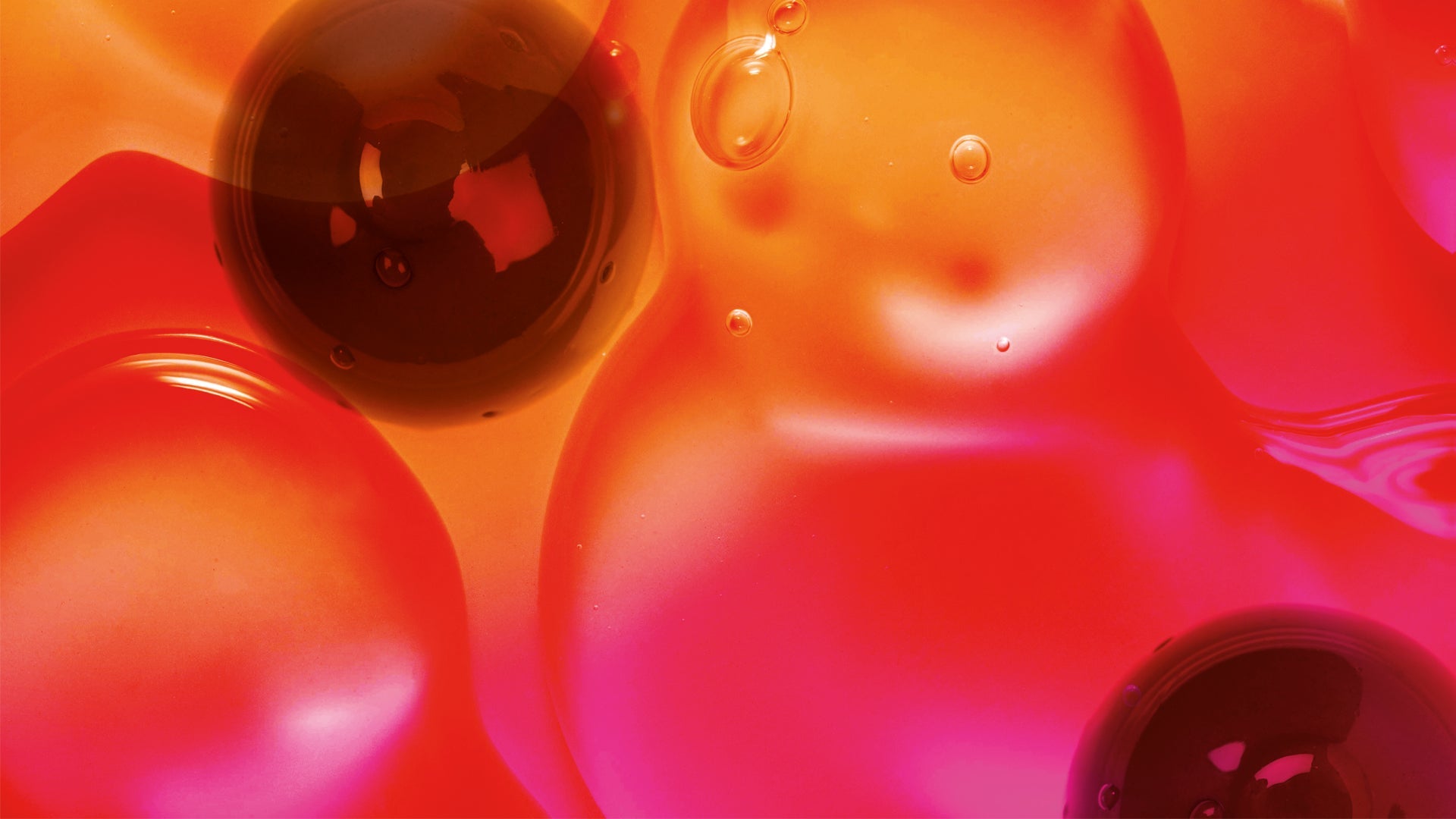 Raffinate delizie (>25€)